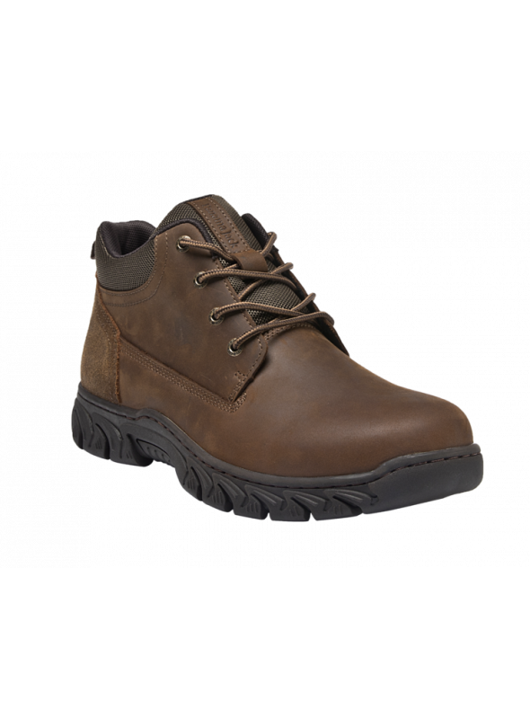 Zapato Hombre H655 PANAMA JACK café