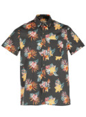 Camisa Palma I961 PANAMA JACK gris